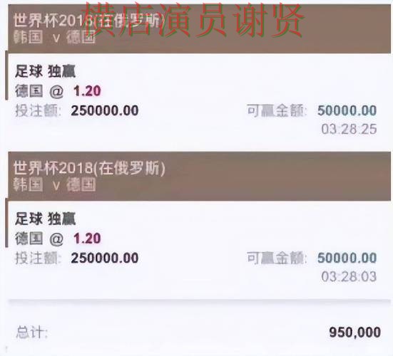 世界杯投注平台推荐官网直达怎么选？实测对比给你答案（世界杯赛事中心）